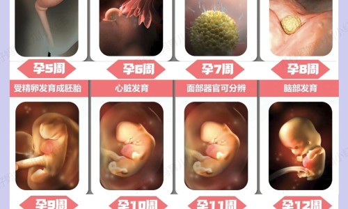 8个月小宝三天没拉屎-8个月的宝宝3天没有拉屎了怎么办,中国8个月宝宝三天不拉屎网站